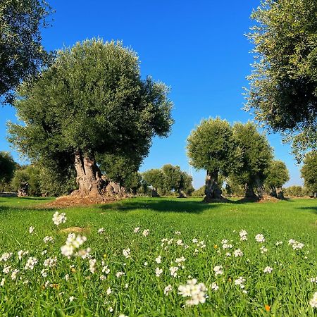 Minicasa Nella Natura, Con Piscina A Due Passi Ostuni Exterior foto