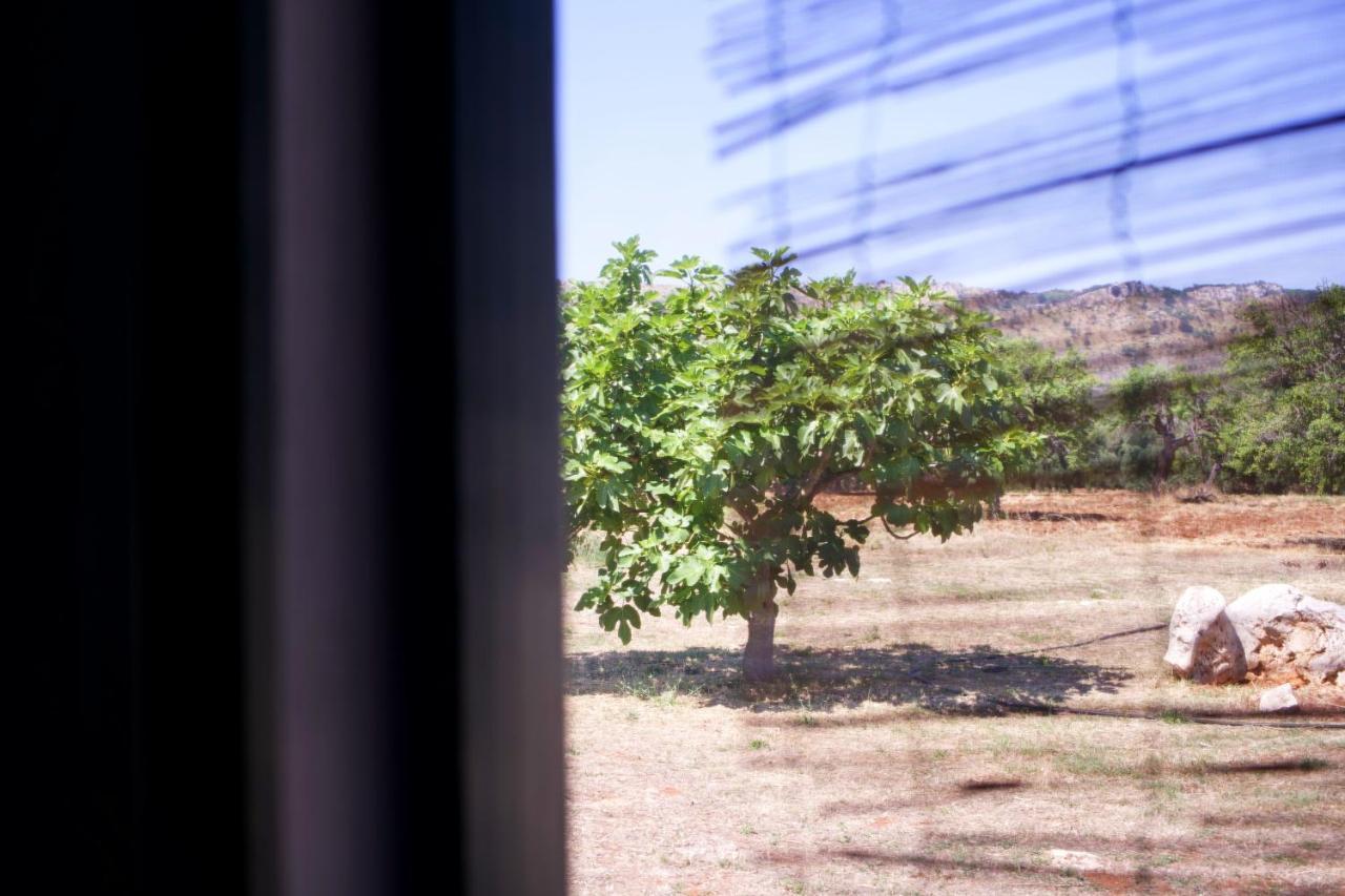 Minicasa Nella Natura, Con Piscina A Due Passi Ostuni Exterior foto