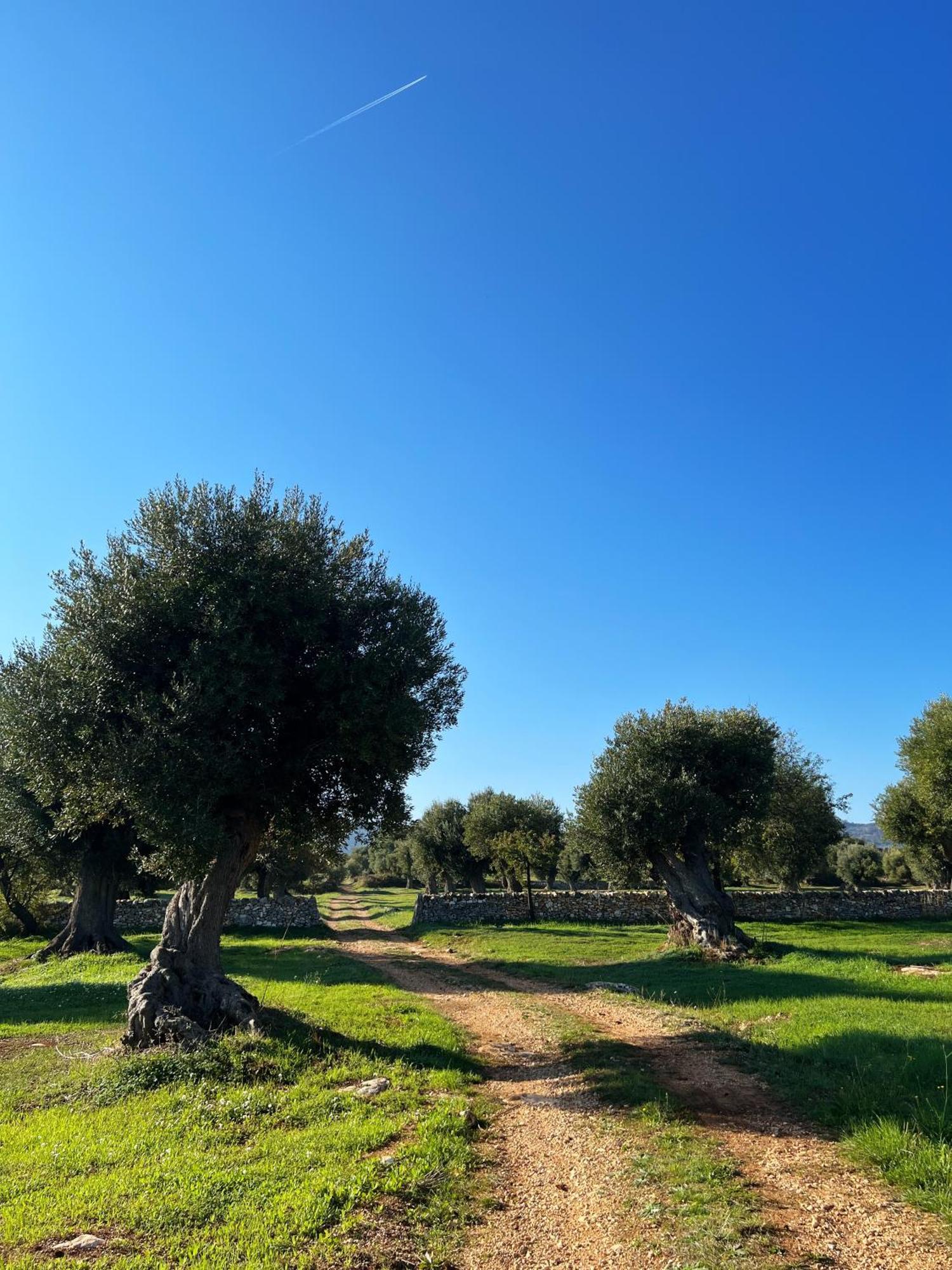 Minicasa Nella Natura, Con Piscina A Due Passi Ostuni Exterior foto